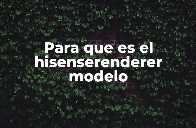 Para que es el Hisenserenderer Modelo