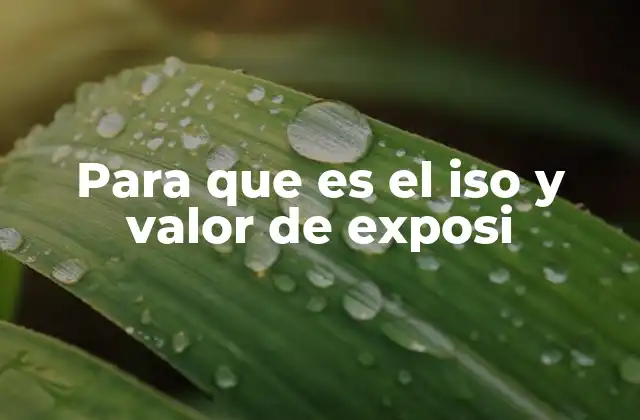 Para que es el Iso y Valor de Exposi