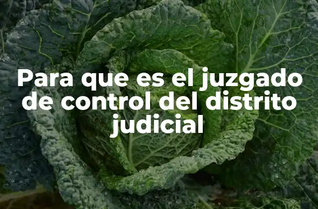 Para que es el Juzgado de Control Del Distrito Judicial