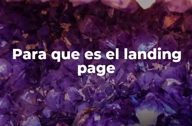 Para que es el Landing Page