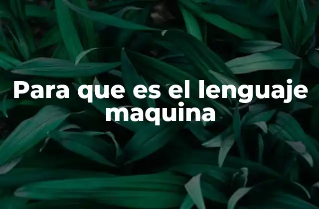 Para que es el Lenguaje Maquina