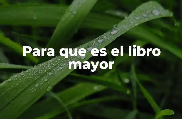 Para que es el Libro Mayor