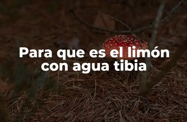 Para que es el Limón con Agua Tibia