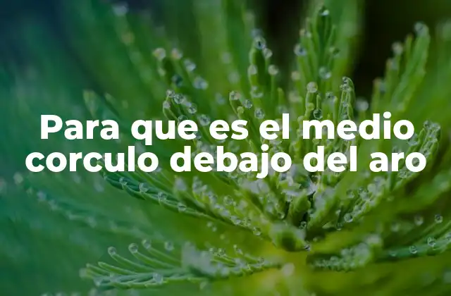 Para que es el Medio Corculo Debajo Del Aro