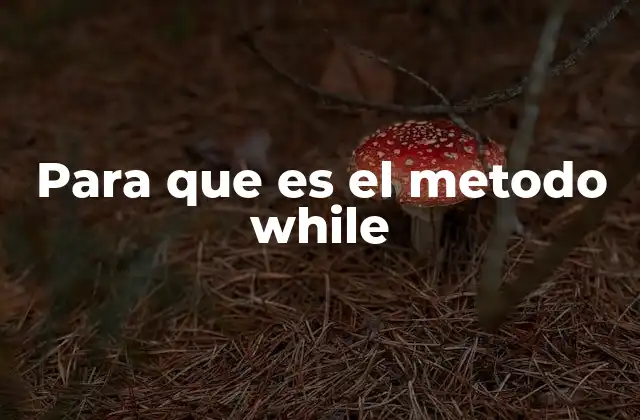 Para que es el Metodo While