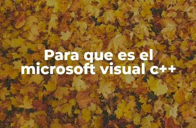 Para que es el Microsoft Visual C++
