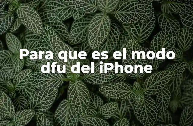 Para que es el Modo Dfu Del Iphone
