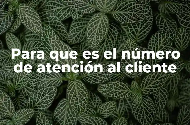 Para que es el Número de Atención Al Cliente