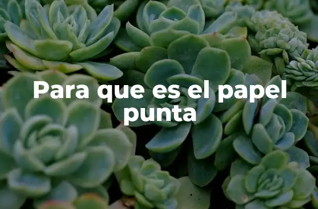 Para que es el Papel Punta