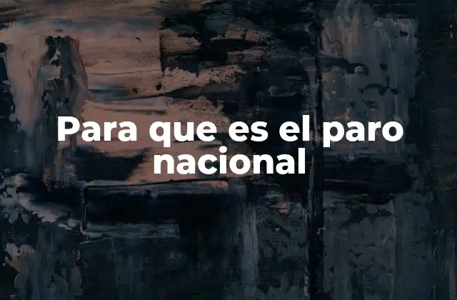 Para que es el Paro Nacional