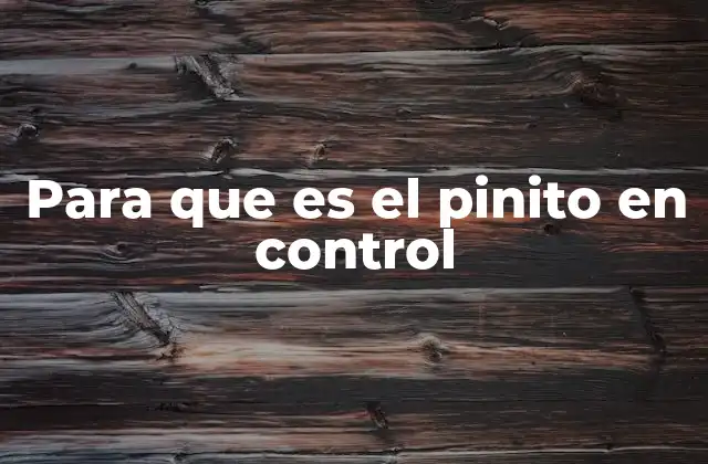 Para que es el Pinito en Control
