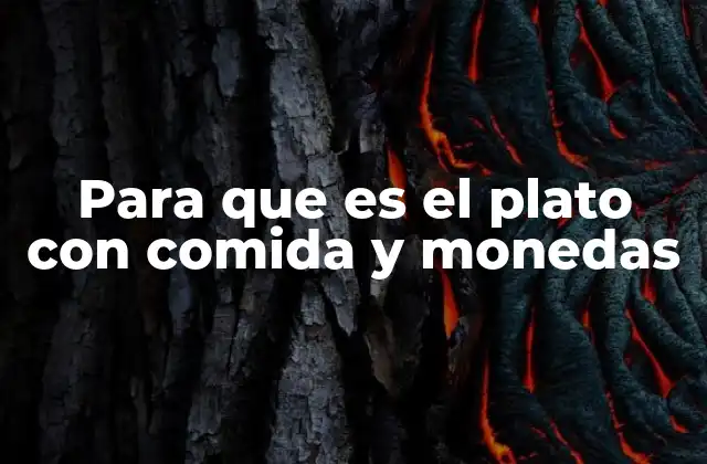 Para que es el Plato con Comida y Monedas