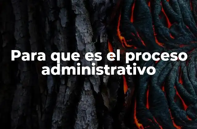 Para que es el Proceso Administrativo