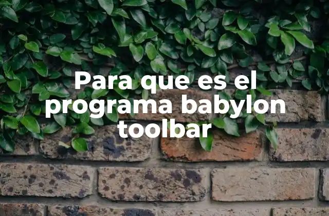 Para que es el Programa Babylon Toolbar