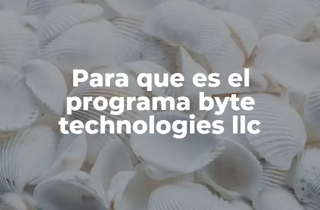 Para que es el Programa Byte Technologies Llc