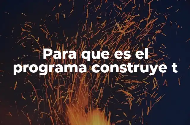 Para que es el Programa Construye T