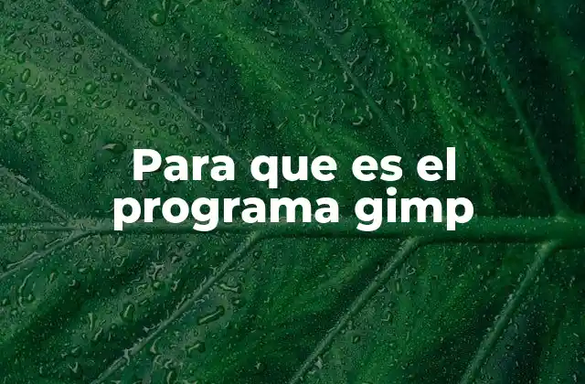 Para que es el Programa Gimp