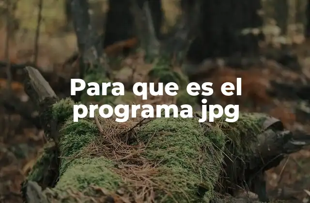 Para que es el Programa Jpg