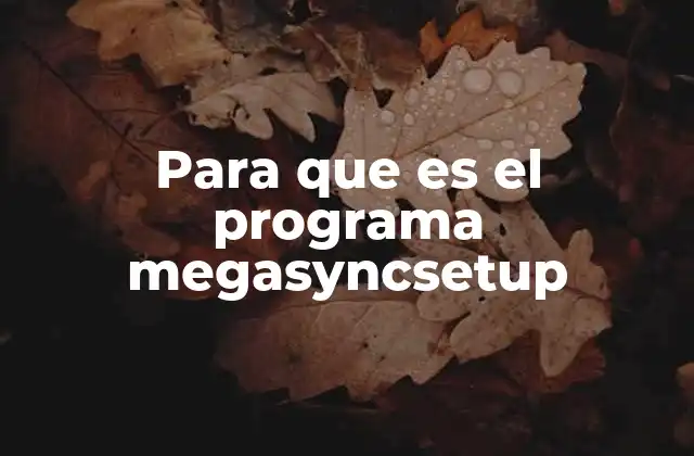Para que es el Programa Megasyncsetup