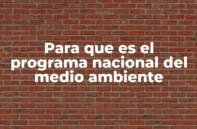 La importancia de políticas ambientales en la agenda pública