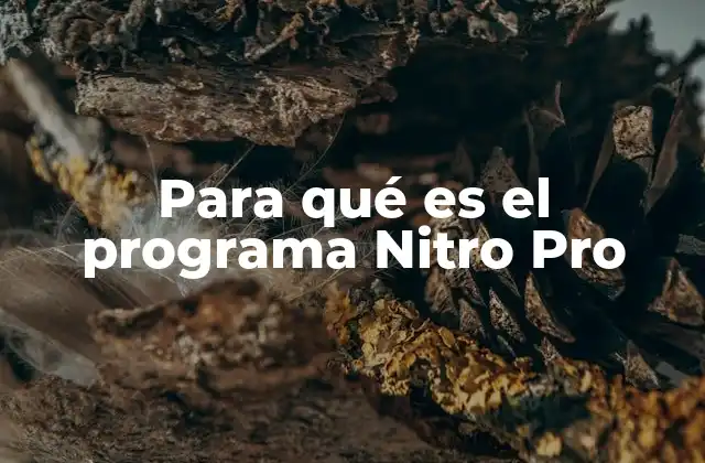 Herramientas esenciales para la gestión de documentos PDF