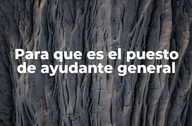 Para que es el Puesto de Ayudante General 2 El rol del apoyo en el entorno laboral
