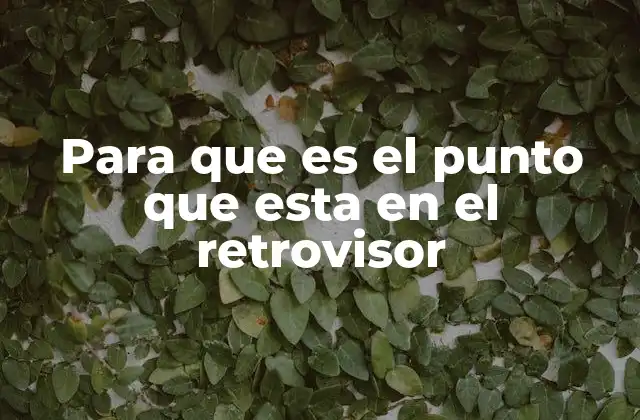 Para que es el Punto que Esta en el Retrovisor