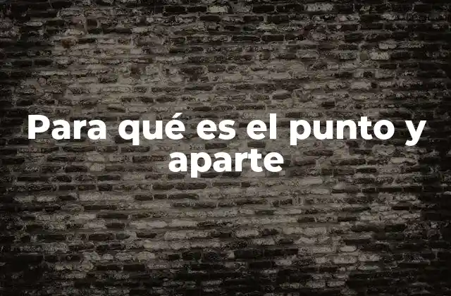 Para Qué es el Punto y Aparte