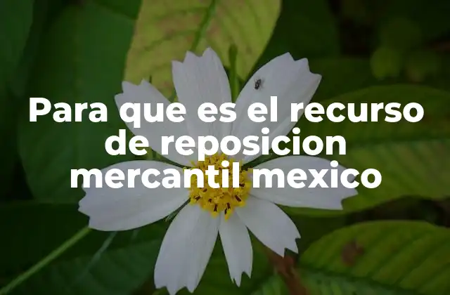 Para que es el Recurso de Reposicion Mercantil Mexico