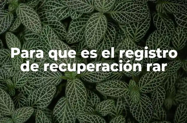 Para que es el Registro de Recuperación Rar