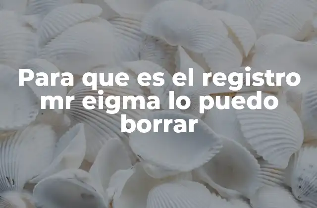 Para que es el Registro Mr Eigma Lo Puedo Borrar