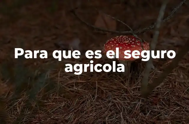 Para que es el Seguro Agricola