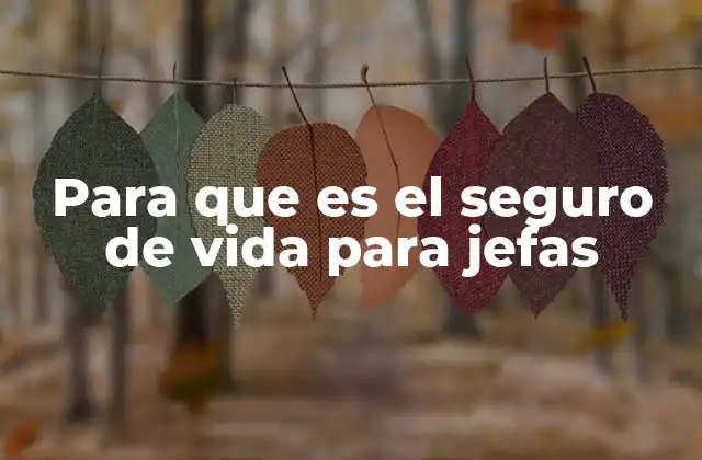 Para que es el Seguro de Vida para Jefas 2 La importancia de la protección financiera para líderes femeninas