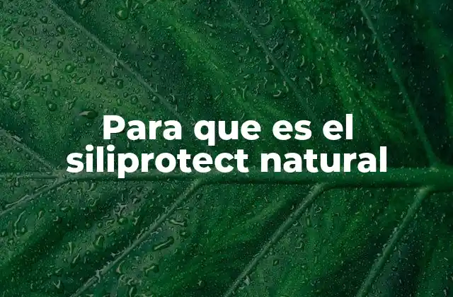 Cómo el Siliprotect Natural mejora la apariencia de los plásticos automotrices