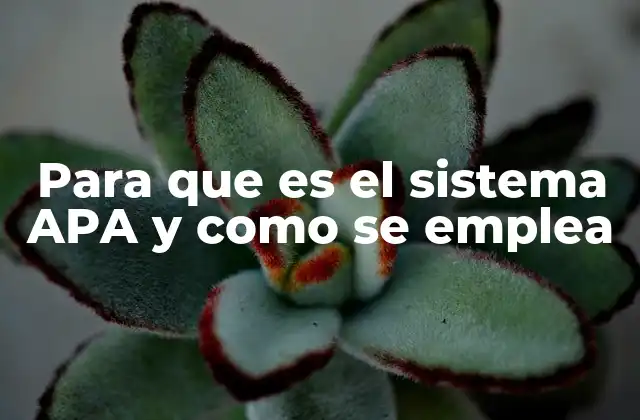 Para que es el Sistema Apa y como Se Emplea 2 La importancia del sistema APA en la comunicación académica
