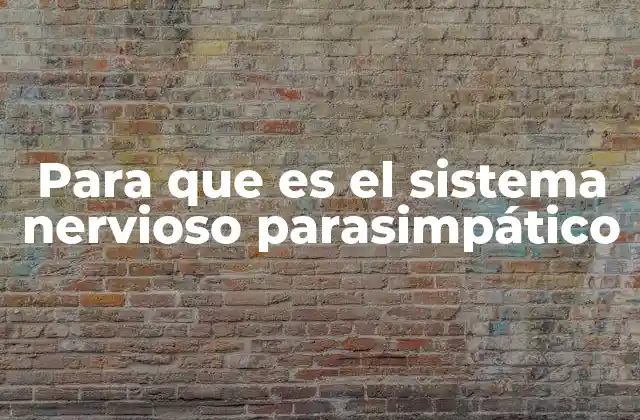 Para que es el Sistema Nervioso Parasimpático