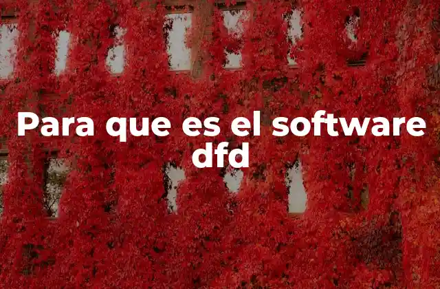 Para que es el Software Dfd