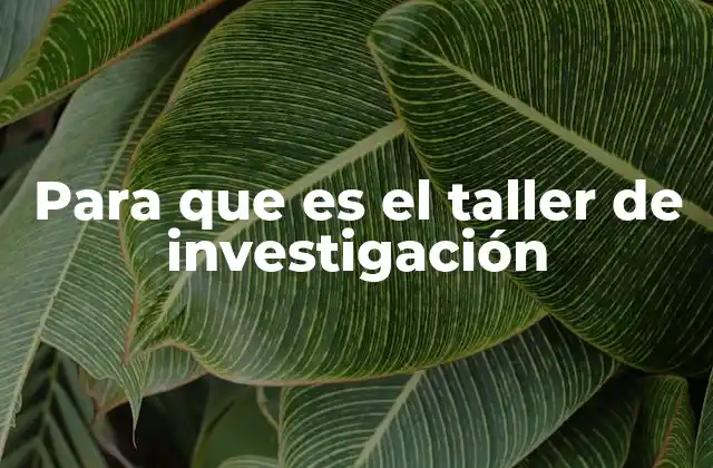 Para que es el Taller de Investigación