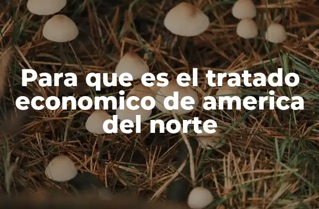 Para que es el Tratado Economico de America Del Norte