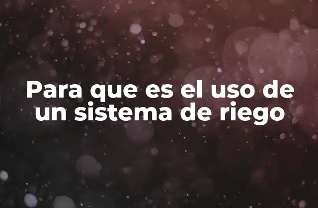 Para que es el Uso de un Sistema de Riego