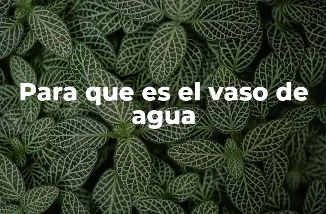 Para que es el Vaso de Agua