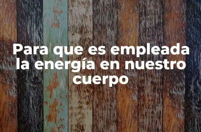 Para que es Empleada la Energía en Nuestro Cuerpo