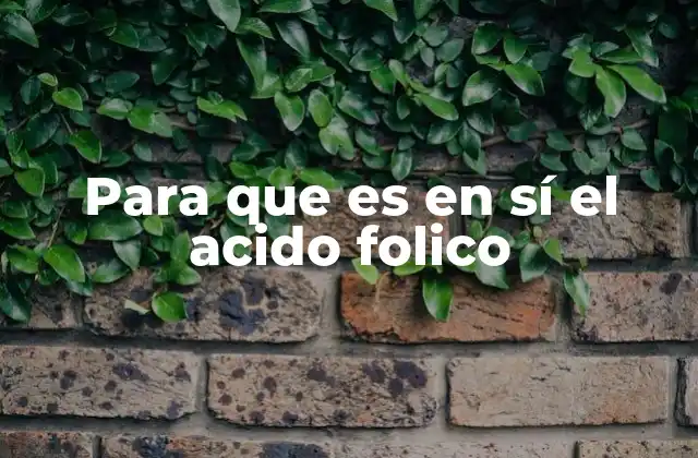 Para que es en Sí el Acido Folico