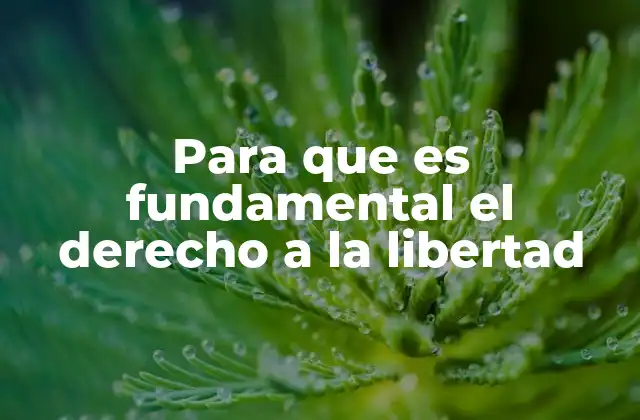 Para que es Fundamental el Derecho a la Libertad