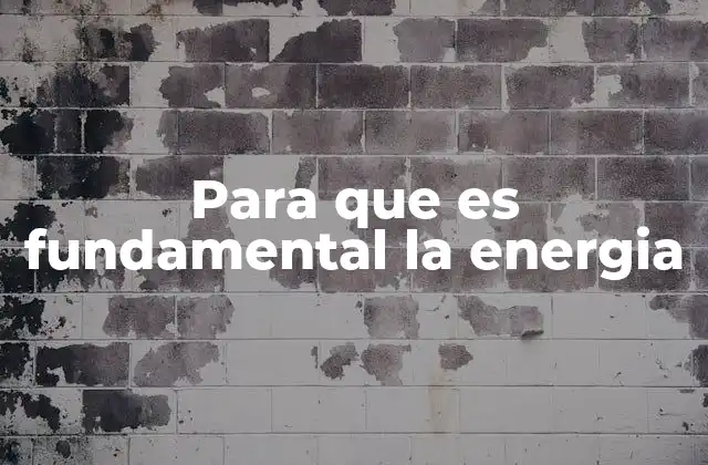 El papel de la energía en la transformación social y económica