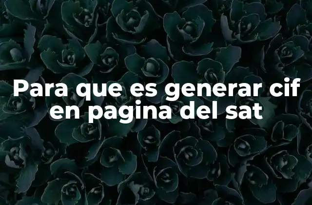 Para que es Generar Cif en Pagina Del Sat