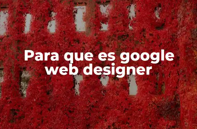 Para que es Google Web Designer