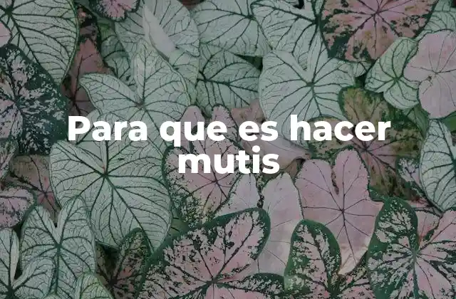 Para que es Hacer Mutis 2 El papel del hacer mutis en la dramaturgia