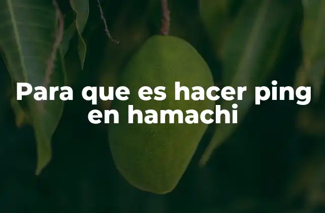 Para que es Hacer Ping en Hamachi