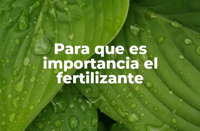 La relación entre fertilizantes y la productividad agrícola